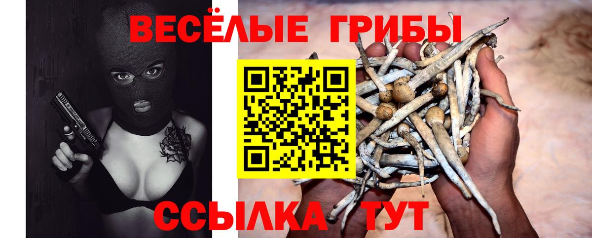 Галлюциногенные грибы Psilocybine cubensis Егорьевск